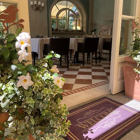 Villa Palmira Kinderfreies Hotel Канобио Екстериор снимка