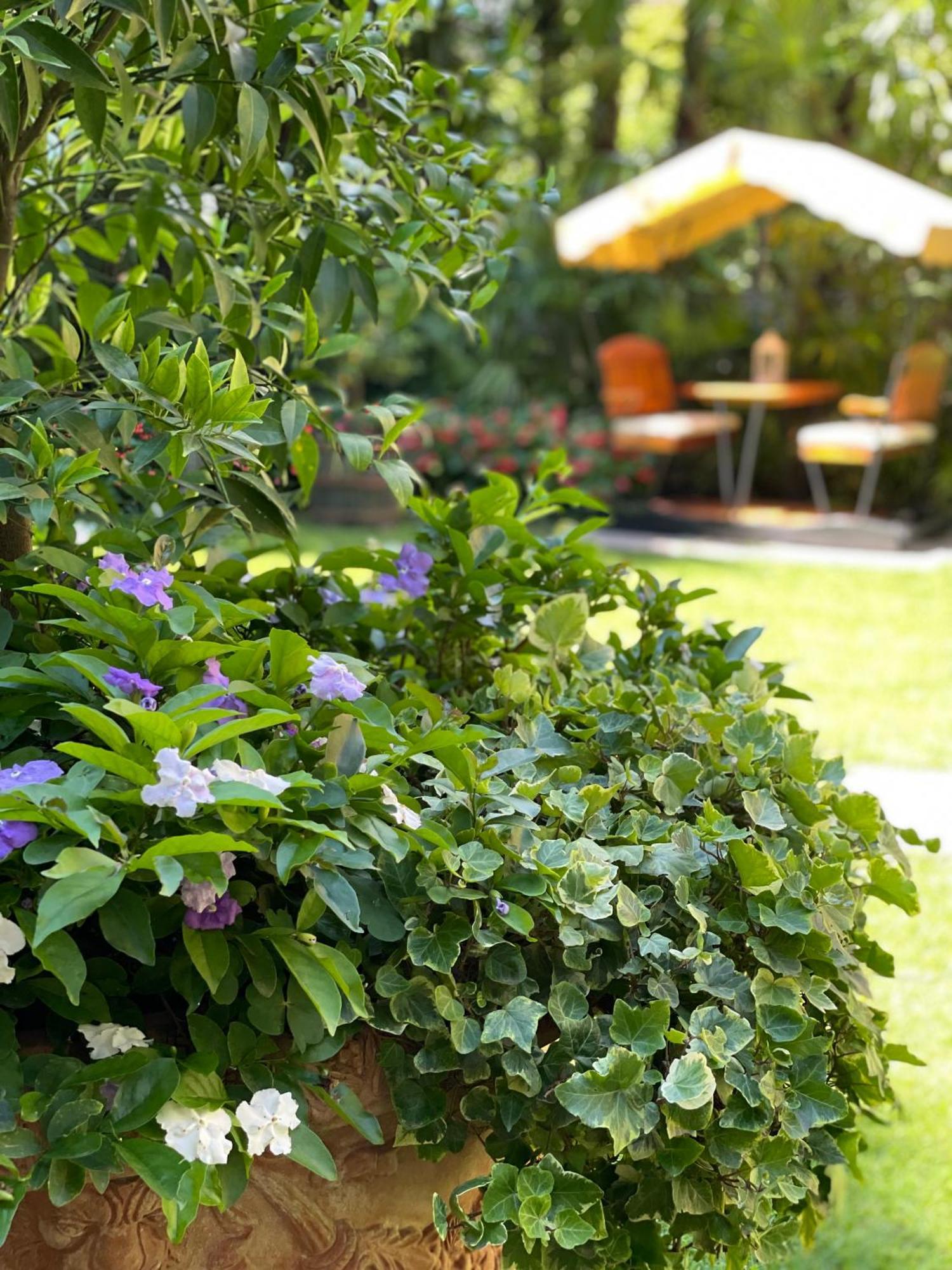 Villa Palmira Kinderfreies Hotel Канобио Екстериор снимка