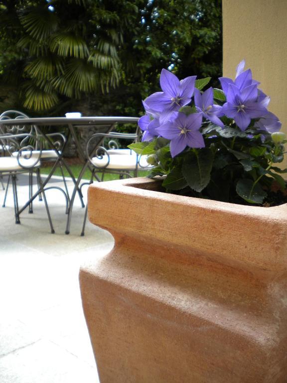 Villa Palmira Kinderfreies Hotel Канобио Екстериор снимка